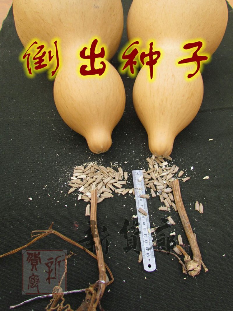 新货廊文玩葫芦种子超市，在售品种150余种，支持淘宝和微
