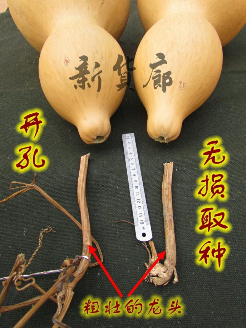 新货廊文玩葫芦种子超市，在售品种150余种，支持淘宝和微