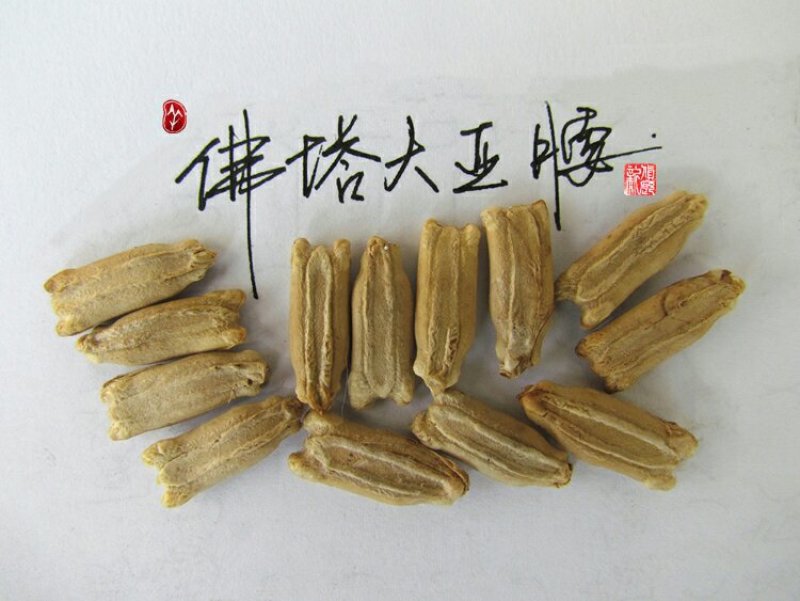 新货廊文玩葫芦种子超市，在售品种150余种，支持淘宝和微