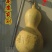 新货廊文玩葫芦种子超市，在售品种150余种，支持淘宝和微