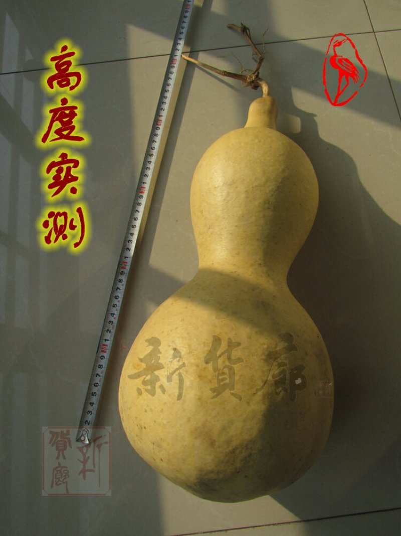 新货廊文玩葫芦种子超市，在售品种150余种，支持淘宝和微