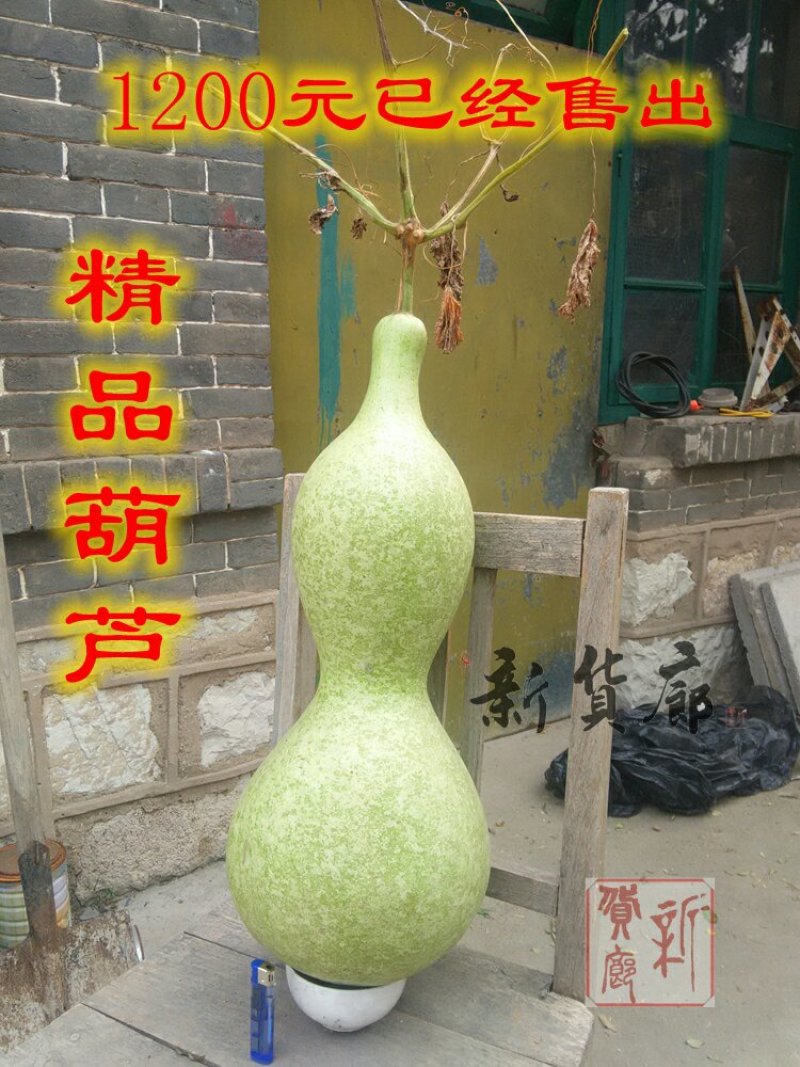 新货廊文玩葫芦种子超市，在售品种150余种，支持淘宝和微