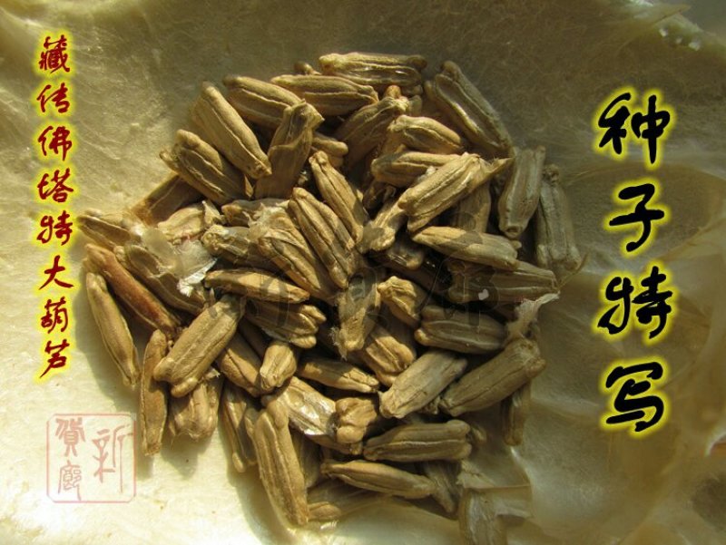 新货廊文玩葫芦种子超市，在售品种150余种，支持淘宝和微
