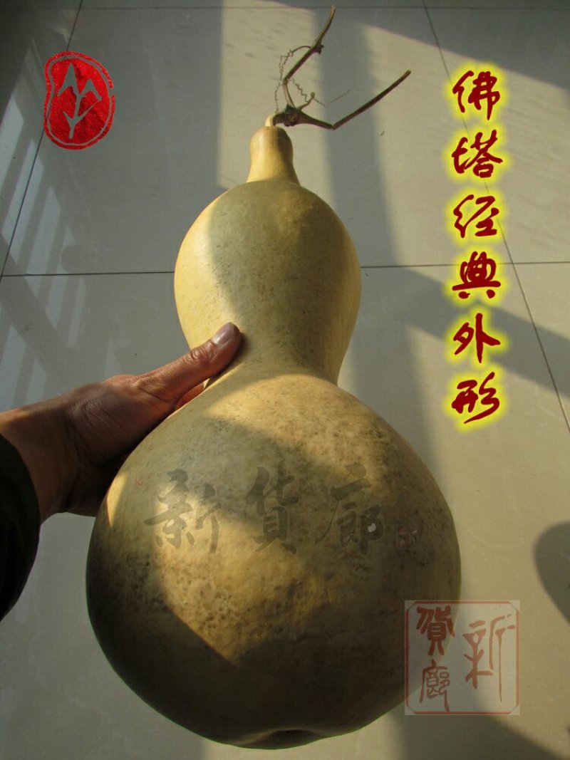 新货廊文玩葫芦种子超市，在售品种150余种，支持淘宝和微