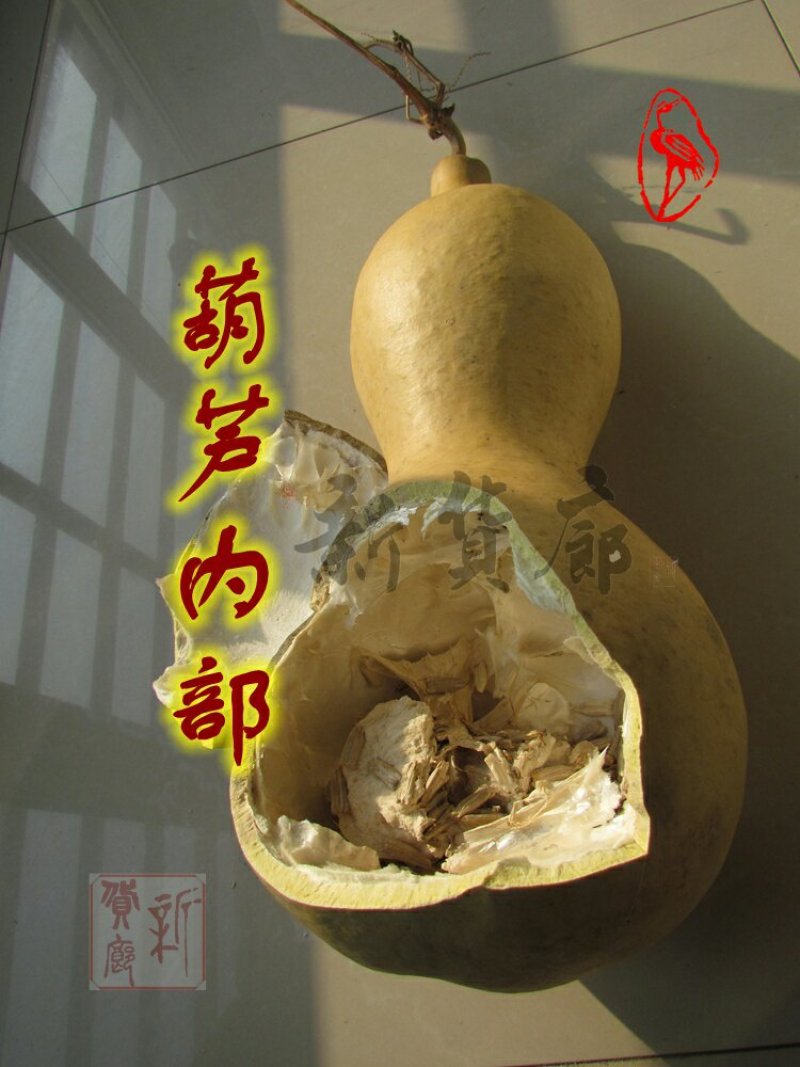新货廊文玩葫芦种子超市，在售品种150余种，支持淘宝和微