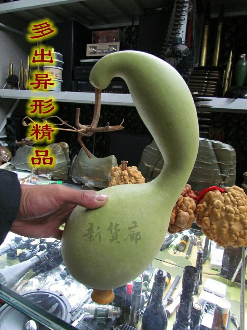 新货廊文玩葫芦种子超市，在售品种150余种，支持淘宝和微