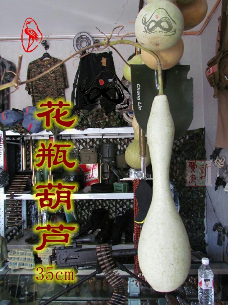 新货廊文玩葫芦种子超市，在售品种150余种，支持淘宝和微