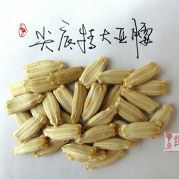 新货廊文玩葫芦种子超市，在售品种150余种，支持淘宝和微