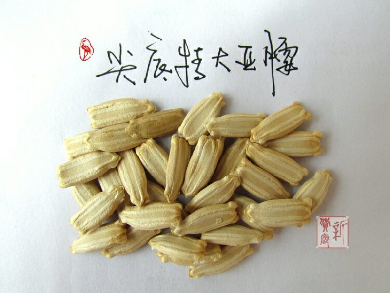 新货廊文玩葫芦种子超市，在售品种150余种，支持淘宝和微