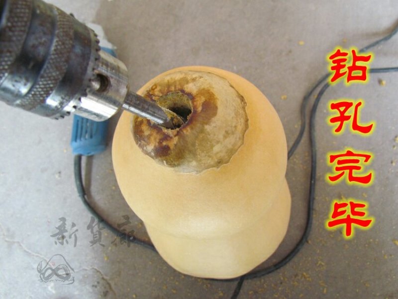 新货廊文玩葫芦种子超市，在售品种150余种，支持淘宝和微
