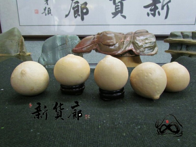 淘宝网搜索店铺：新货廊。葫芦种子150余种子支持淘宝和微