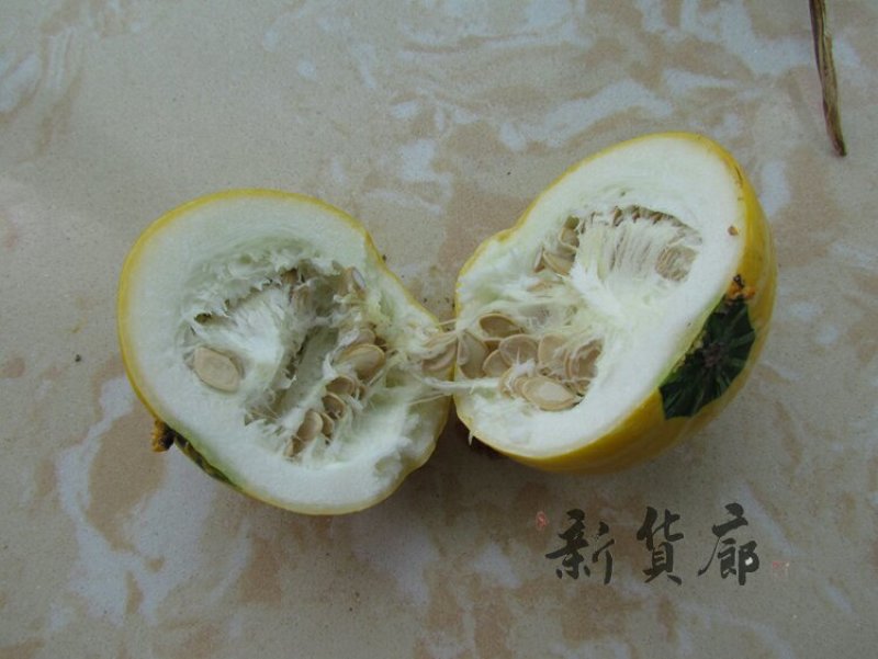 淘宝网搜索店铺：新货廊。葫芦种子150余种子支持淘宝和微
