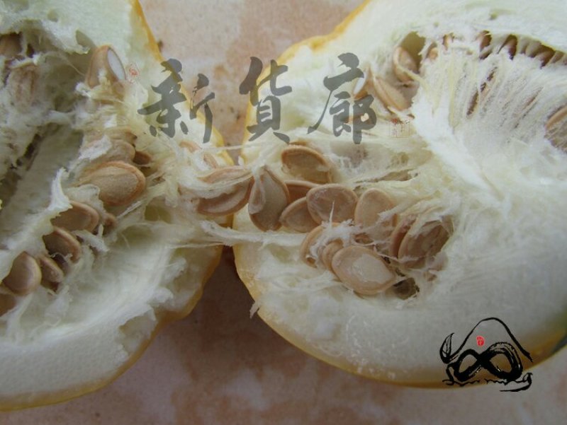 淘宝网搜索店铺：新货廊。葫芦种子150余种子支持淘宝和微