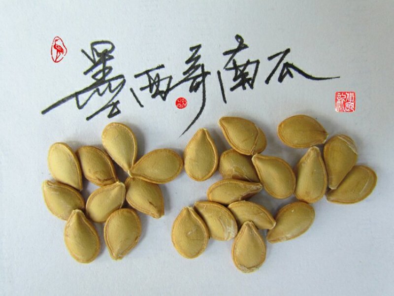 淘宝网搜索店铺：新货廊。葫芦种子150余种子支持淘宝和微