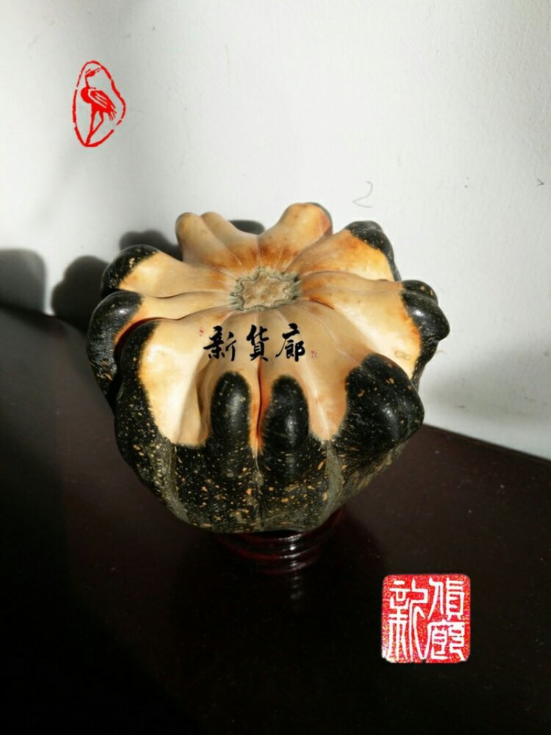 淘宝网搜索店铺：新货廊。葫芦种子150余种子支持淘宝和微