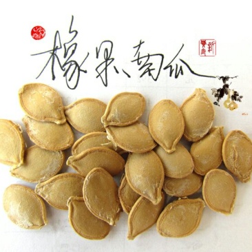 淘宝网搜索店铺：新货廊。葫芦种子150余种子支持淘宝和微