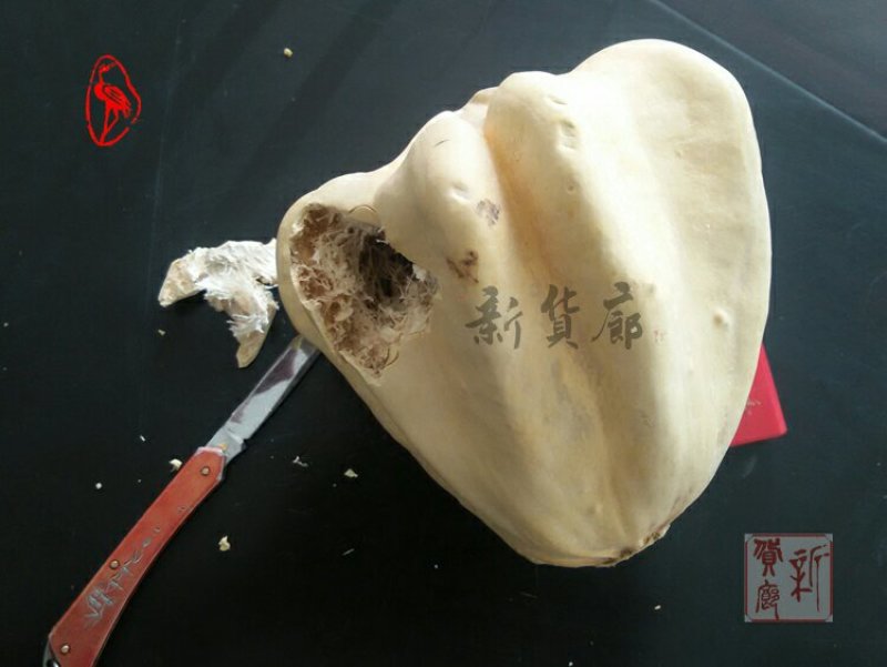 淘宝网搜索店铺：新货廊。葫芦种子150余种子支持淘宝和微