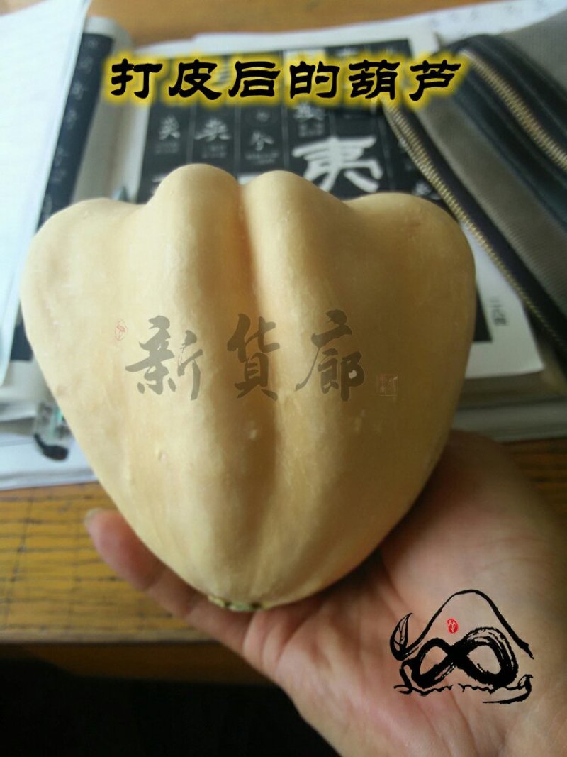 淘宝网搜索店铺：新货廊。葫芦种子150余种子支持淘宝和微