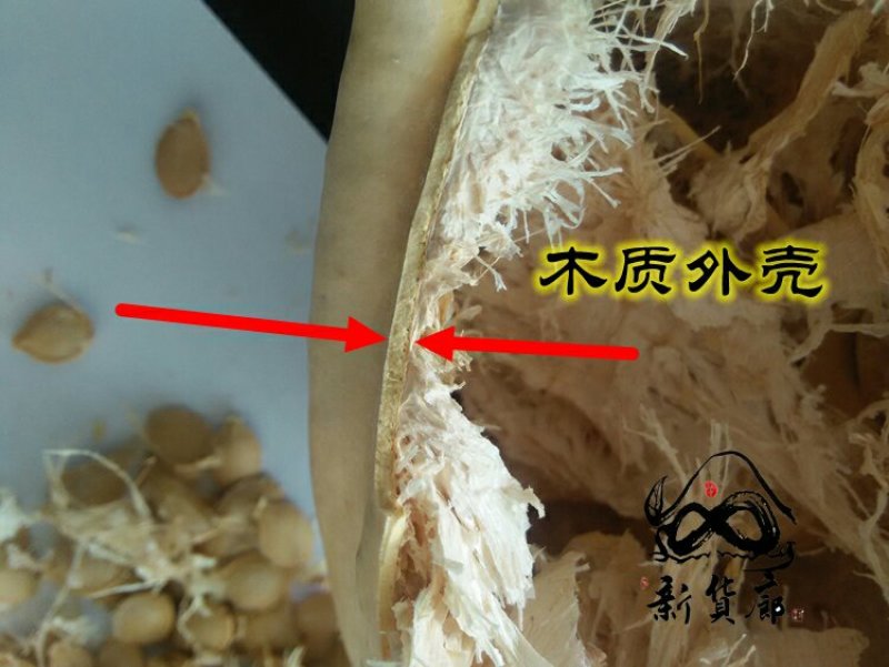 淘宝网搜索店铺：新货廊。葫芦种子150余种子支持淘宝和微