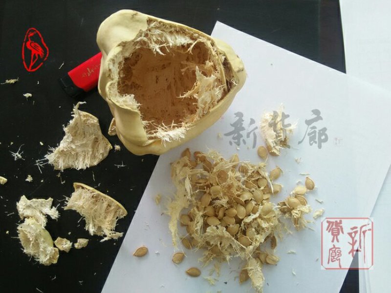 淘宝网搜索店铺：新货廊。葫芦种子150余种子支持淘宝和微