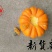淘宝网搜索店铺：新货廊。葫芦种子150余种子支持淘宝和微