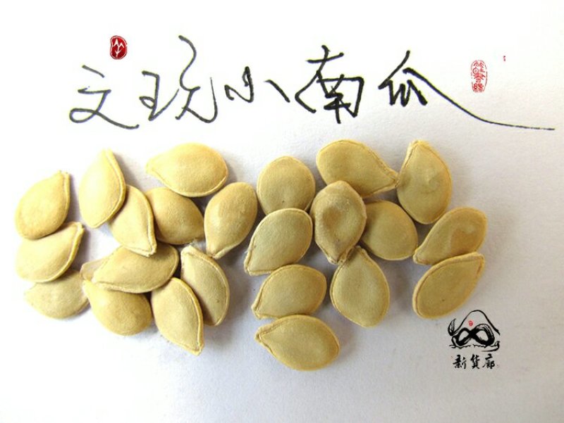 淘宝网搜索店铺：新货廊。葫芦种子150余种子支持淘宝和微