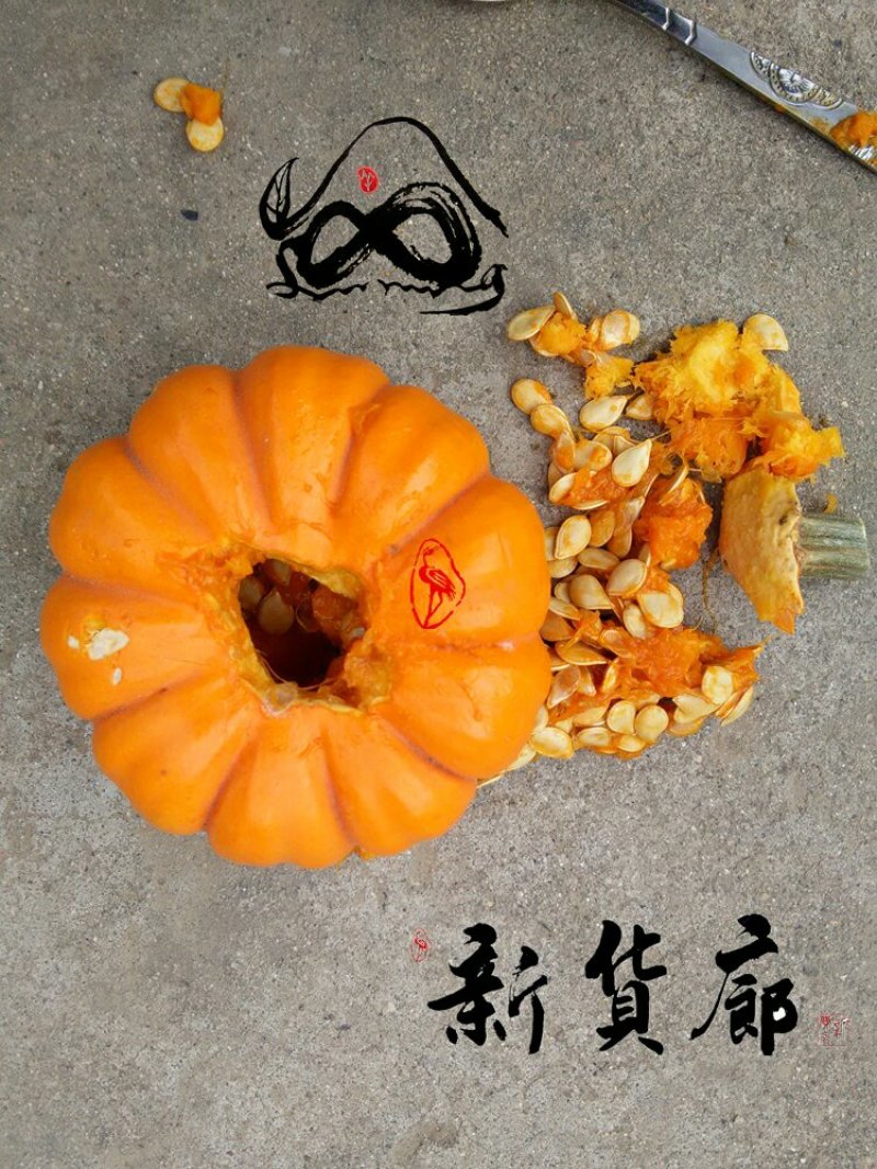 淘宝网搜索店铺：新货廊。葫芦种子150余种子支持淘宝和微