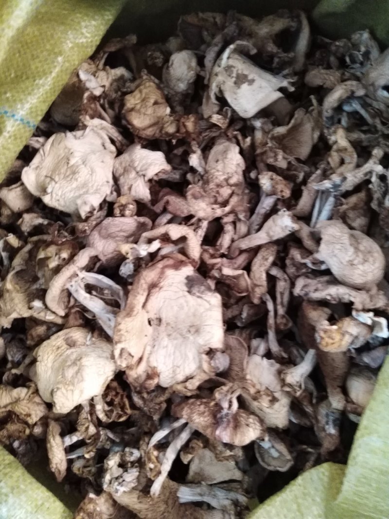 蘑菇，紫花脸蘑菇