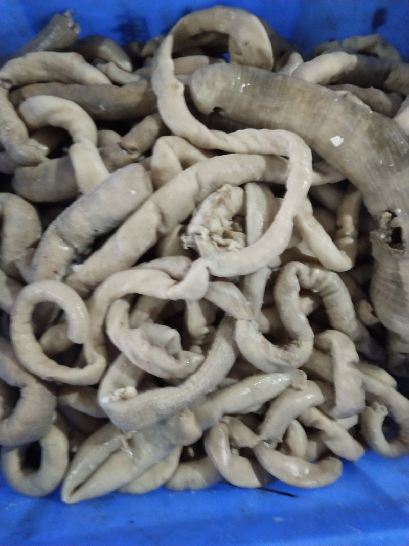 新鲜飞水熟牛肠，去油干净成数高