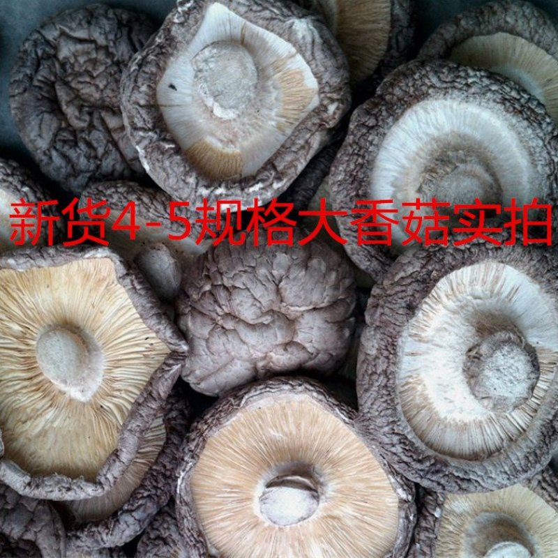 香菇干