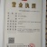 杉树苗，杉木苗，刺杉苗，香杉苗