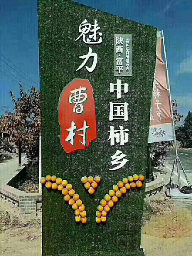 富平农家自产柿饼