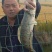 稻田纯生态养殖黑鱼，规格2～5斤