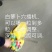 小粒种子播种机