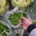 万亩辣椒种植基地，欢迎新老客户合作共赢！