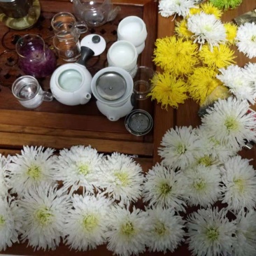 香菊花