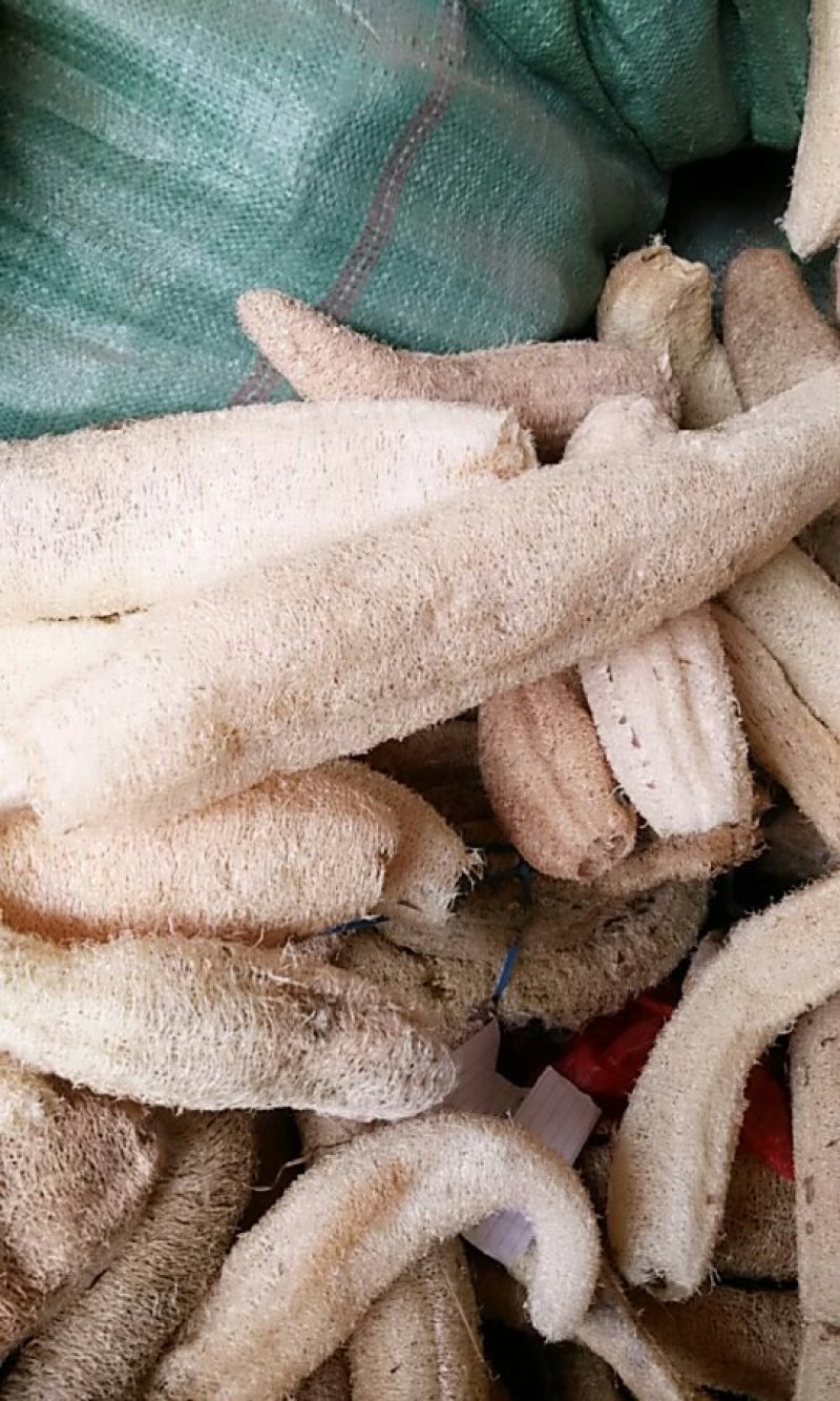 丝瓜络各规格批发零售量大优惠