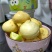 大量蔓菁出售