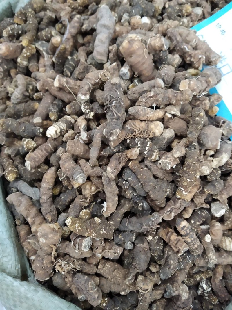 七叶一枝花，重楼，中药材重楼