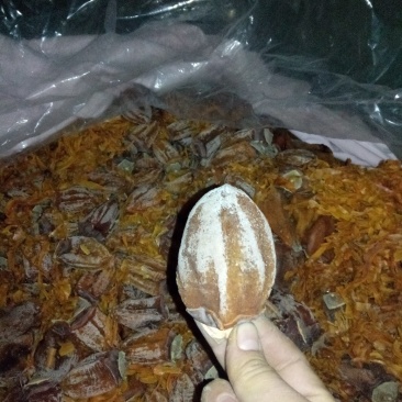富平柿饼