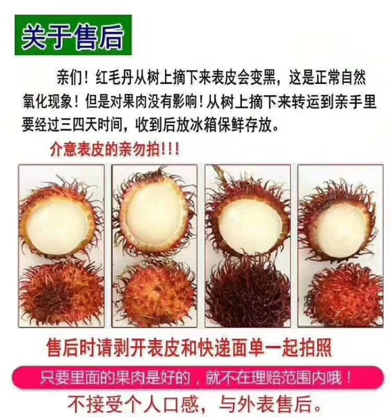 红毛丹一件代发电商微商