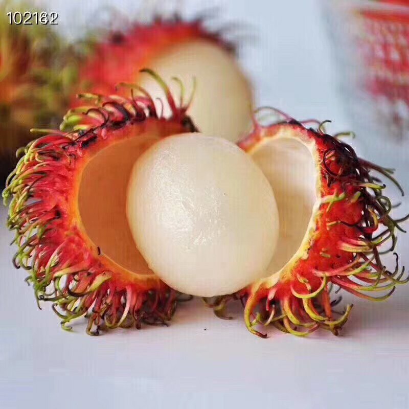 红毛丹一件代发电商微商