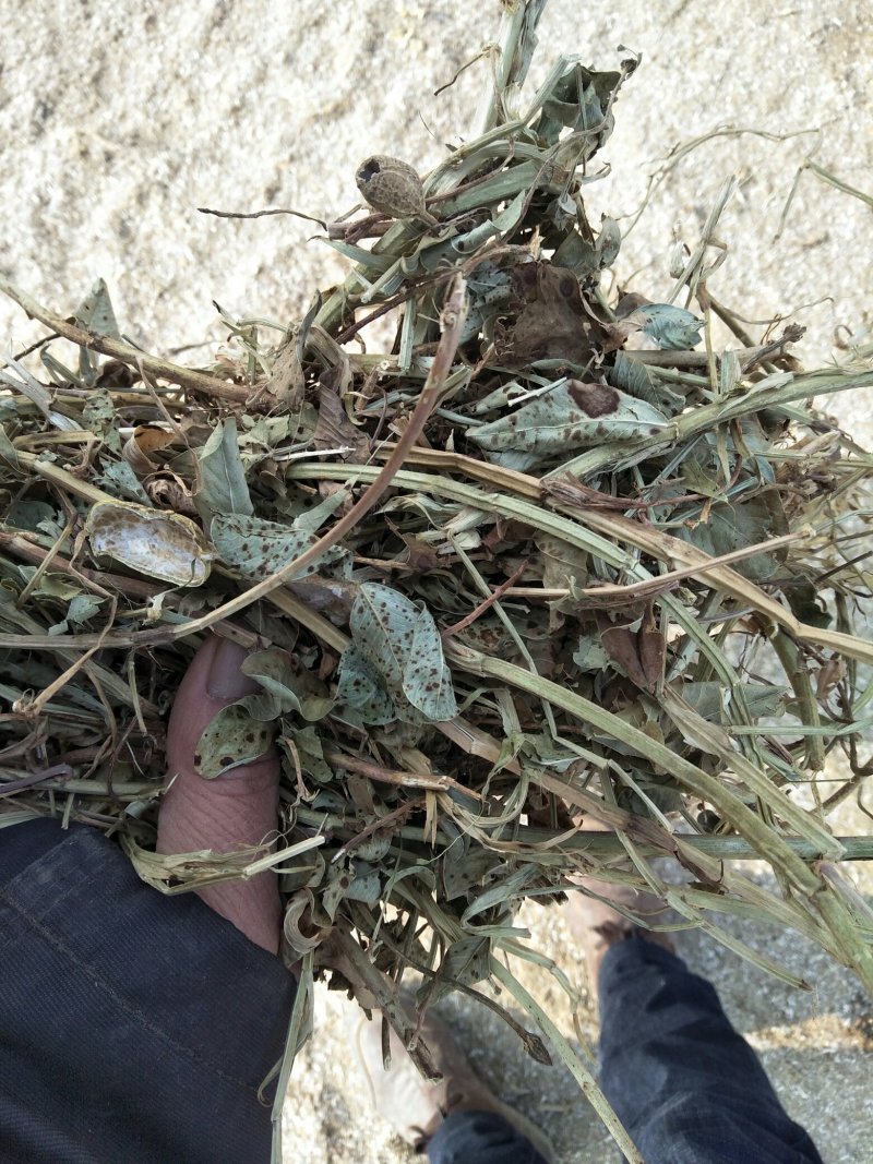 花生秧牛羊草料