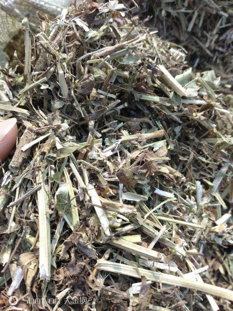 一级花生秧