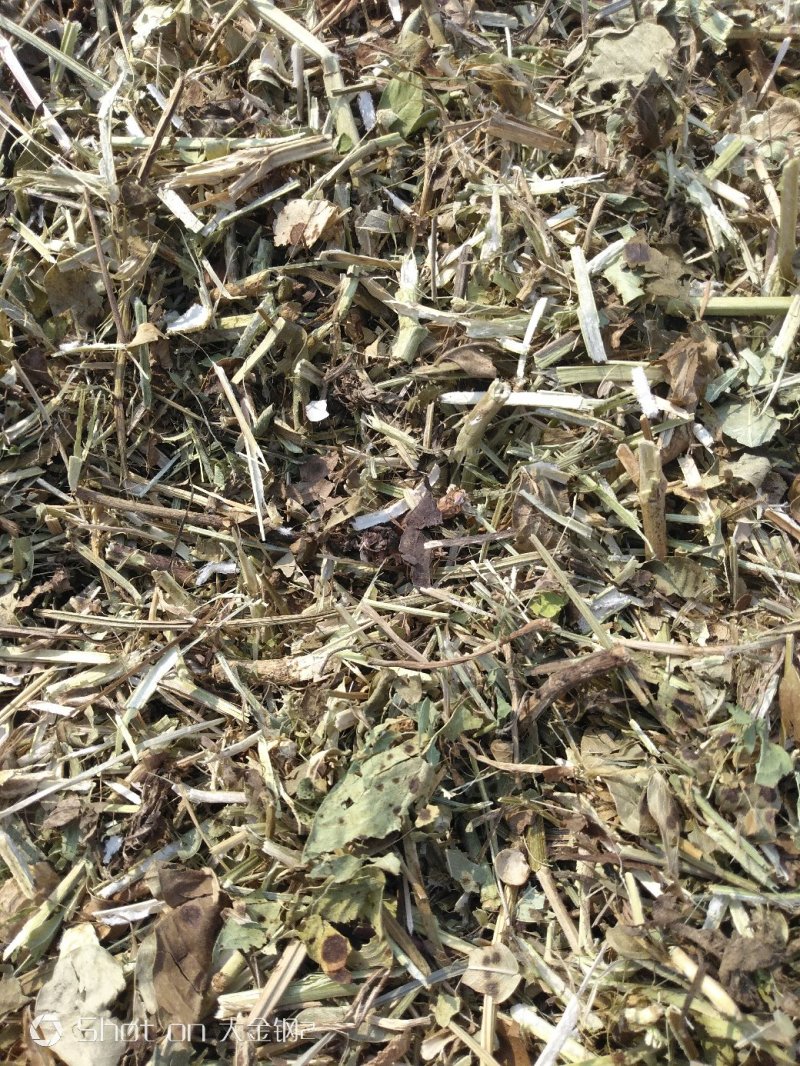 一级花生秧
