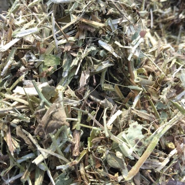一级花生秧