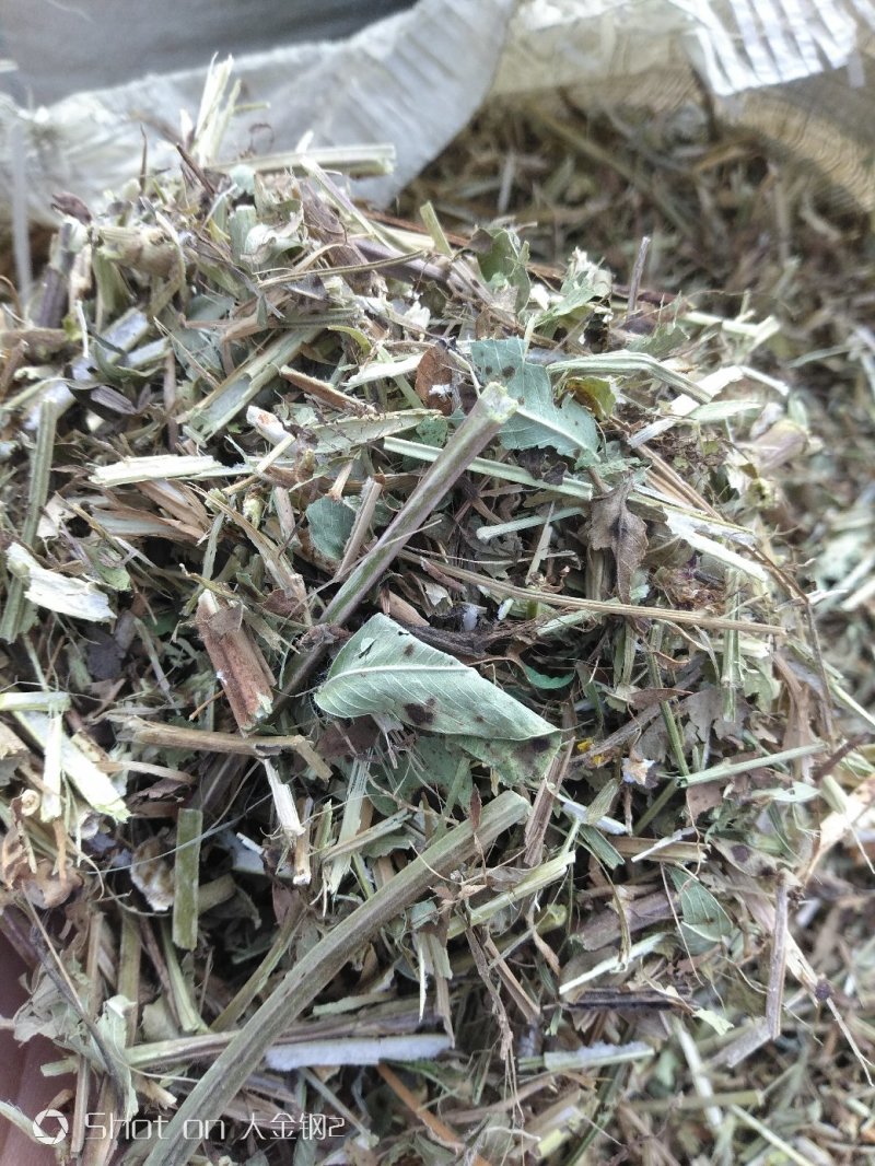 一级花生秧