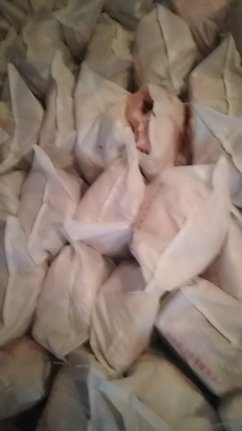 猪头