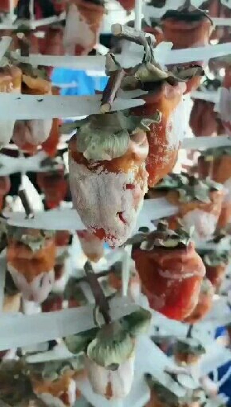 富平柿饼正在大量接单中