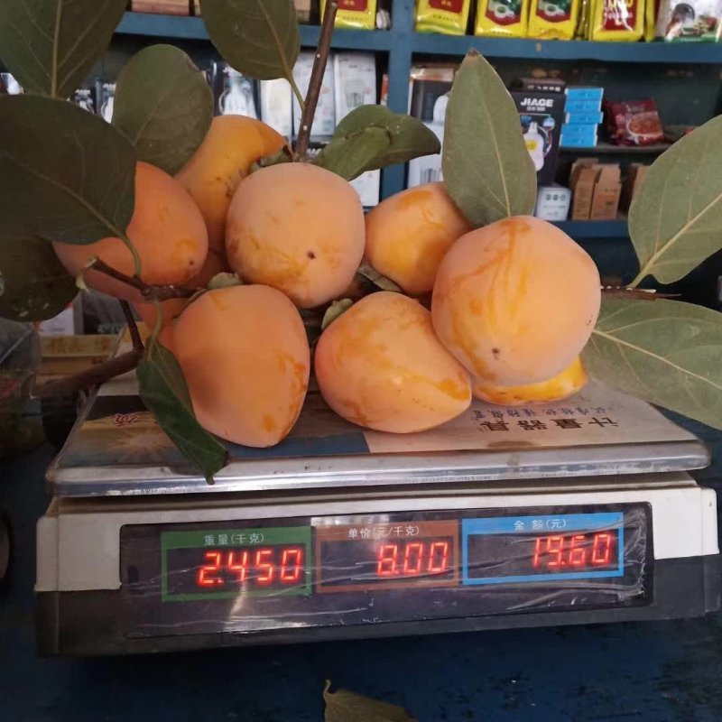一级柿饼特级服务现货供应量大从优